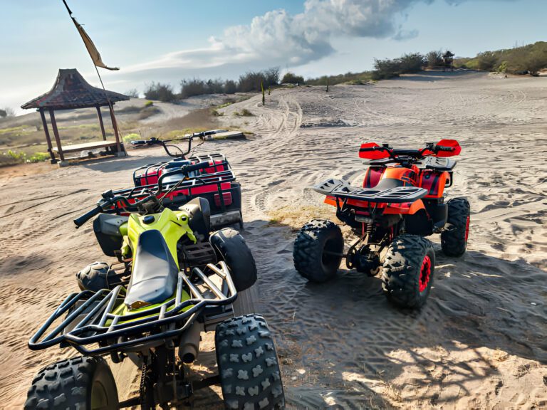 Discover South Florida S Best Off Road Adventure Tours The Ultimate Guide