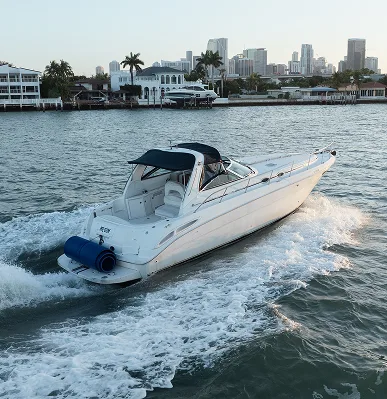 Photo Mar 03 2025, 6 03 25 PM 1