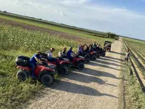 Excursiones de un día Day Tours